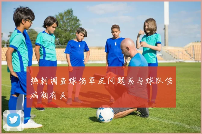 热刺调查球场草皮问题或与球队伤病潮有关